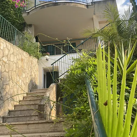 Kefaview * تْشيفالو